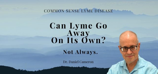 does Lyme disease go away without antibiotics