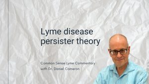 Lyme disease persister theory
