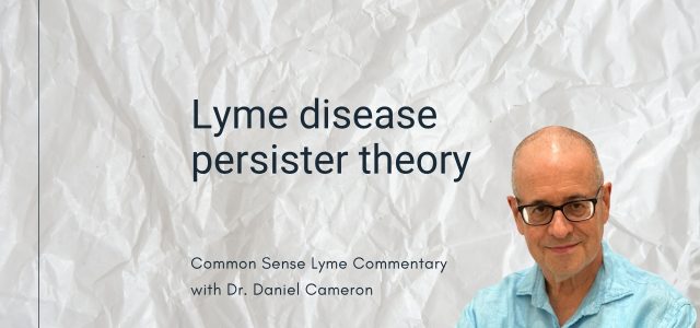 Lyme disease persister theory