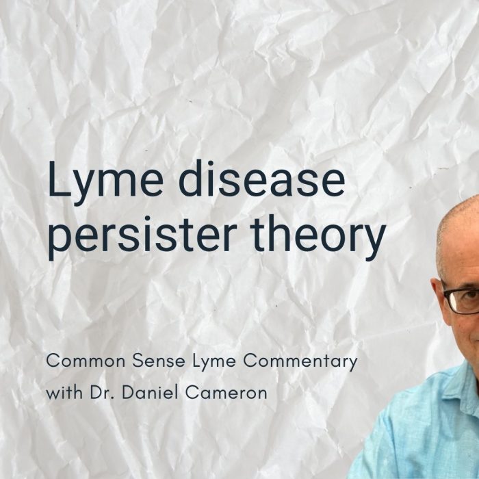 Lyme disease persister theory