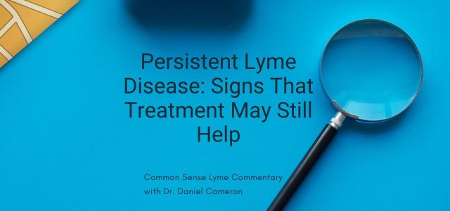 Persistent Lyme Disease: Signs That Treatment May Still Help