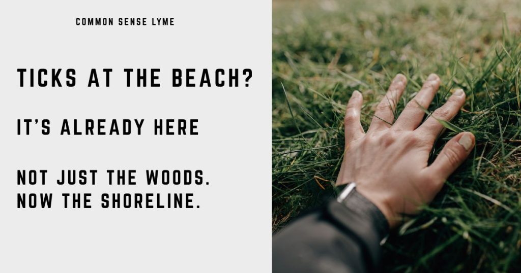 TICKS AT THE BEACH