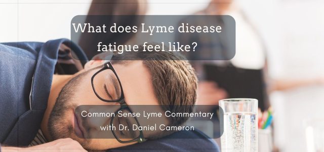 What does Lyme disease fatigue feel like?