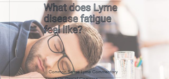 What does Lyme disease fatigue look like.