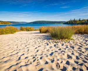 ticks-at-beach