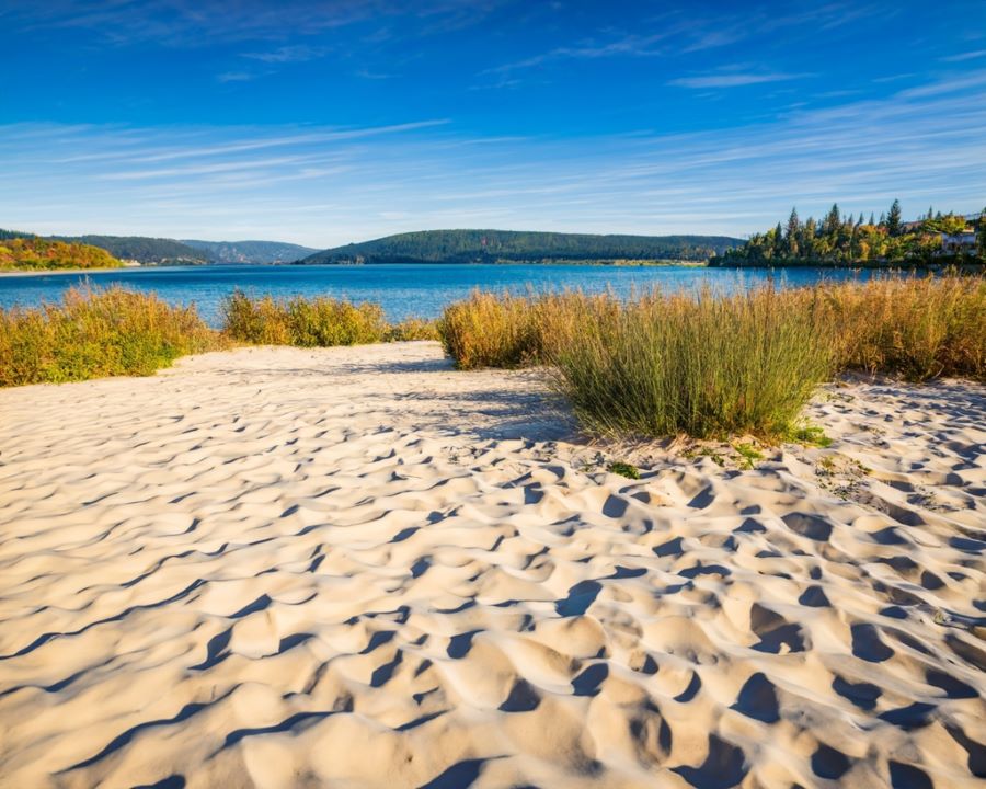 ticks-at-beach
