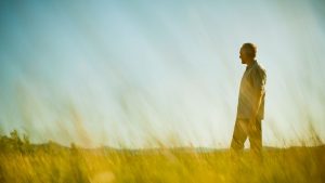 Can You Heal From Lyme Disease?