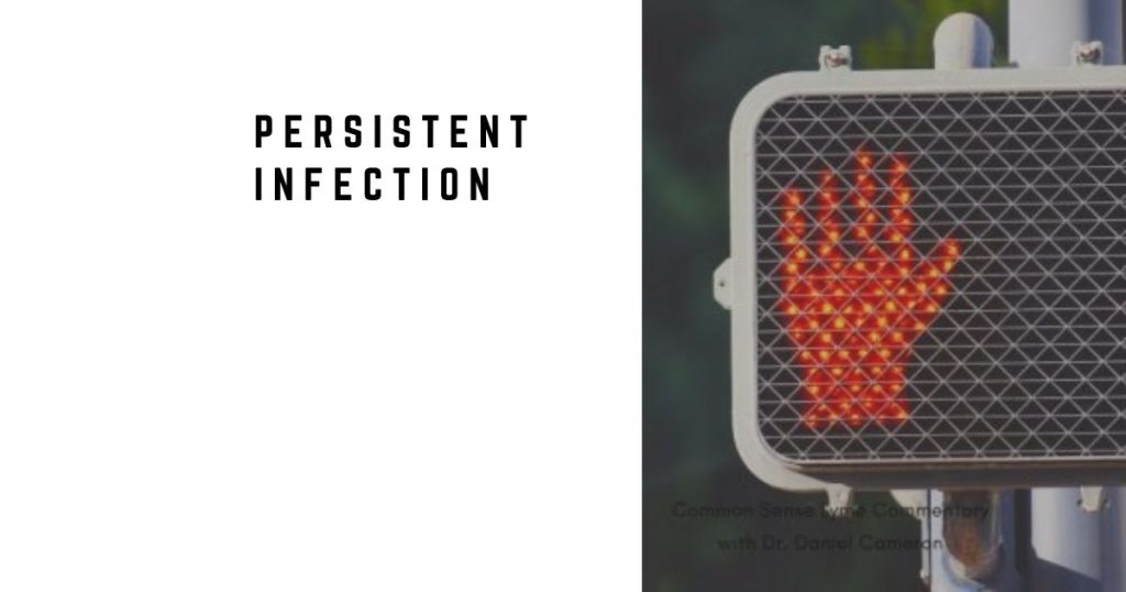 Post-treatment Lyme may signal persistent infection