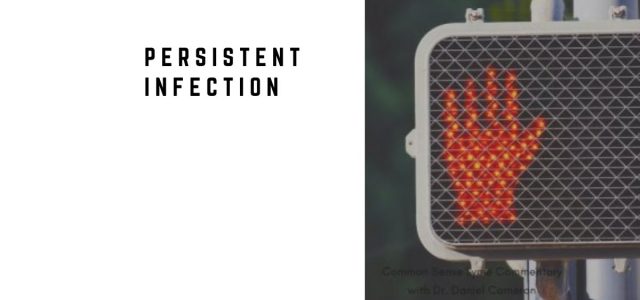 Post-treatment Lyme may signal persistent infection