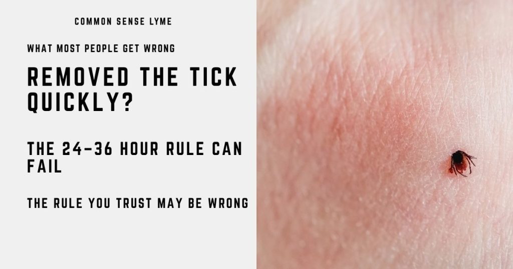 YOU DIDN’T SEE A TICK