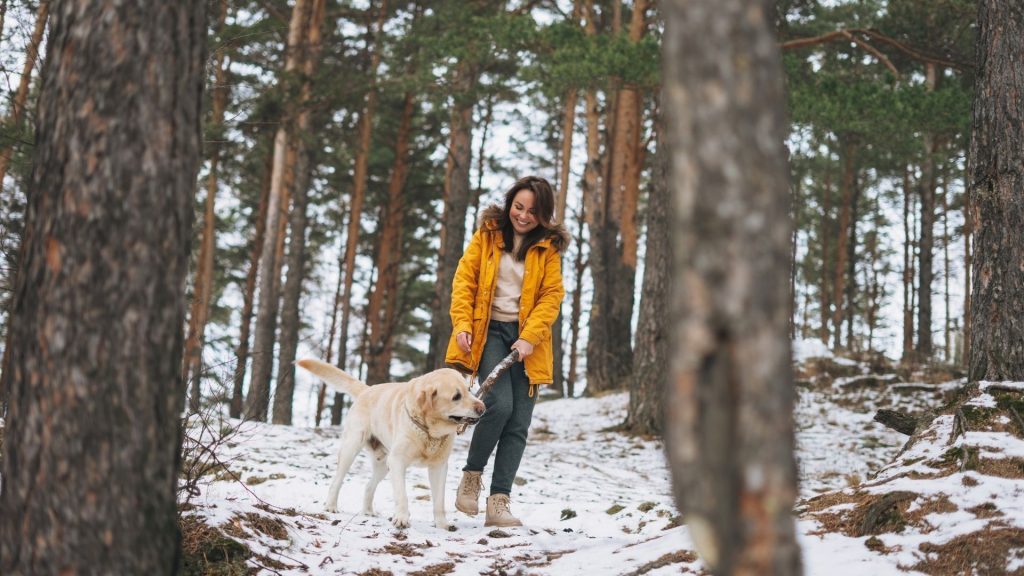 Do Ticks Survive the Winter in the Northeast?