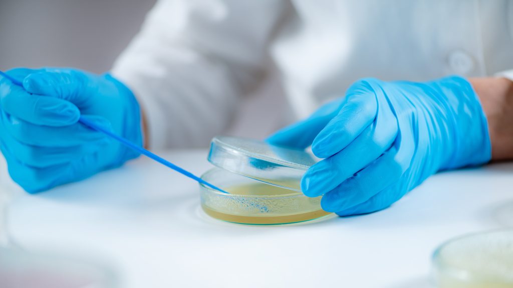 Lyme Persisters: Why Some Patients Stay Sick After Treatment