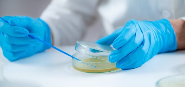 Lyme Persisters: Why Some Patients Stay Sick After Treatment