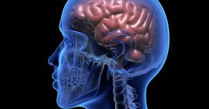 Brain Zaps and Internal Vibrations in Lyme Disease