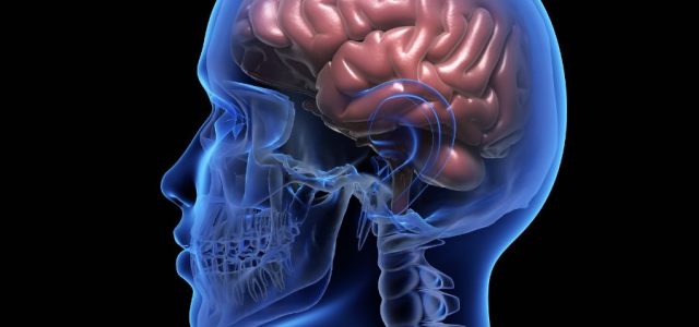 Brain Zaps and Internal Vibrations in Lyme Disease