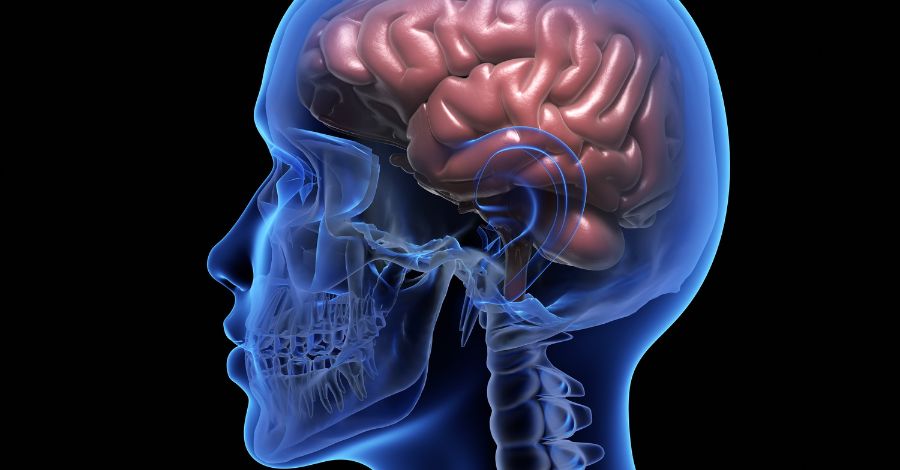 Brain Zaps and Internal Vibrations in Lyme Disease