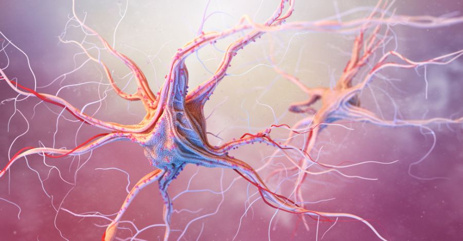 Lyme Disease CRPS Connection: When Infection Drives Pain