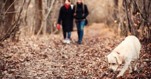 Too Cold for Ticks? Think Again — Lyme Risk Doesn’t Freeze