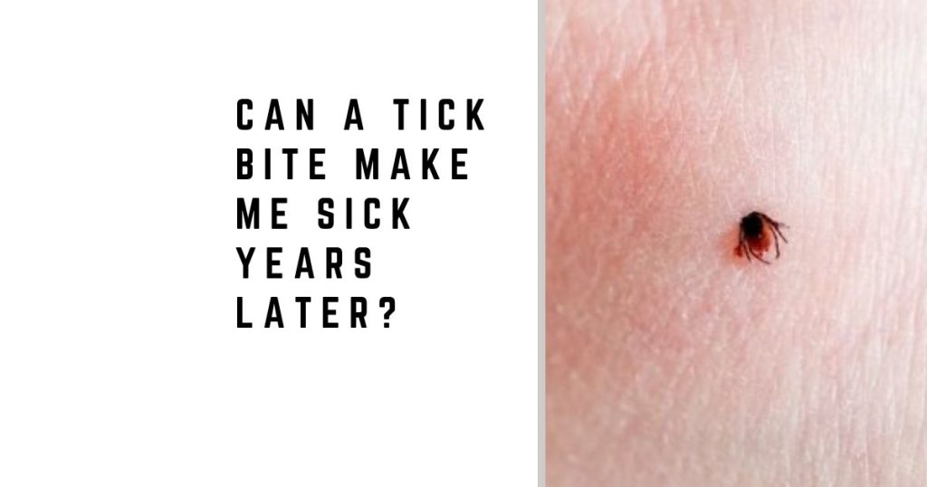 Can a tick bite make me sick years later?