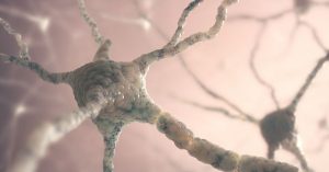How Lyme Disease Disrupts Gut Motility and the Gut–Brain Axis