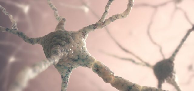 How Lyme Disease Disrupts Gut Motility and the Gut–Brain Axis
