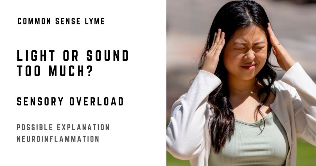 LIGHT OR SOUND TOO MUCH (1)