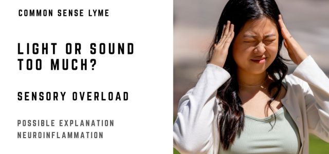 LIGHT OR SOUND TOO MUCH (1)