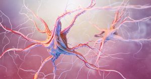 Lyme Autonomic Dysfunction: How Lyme Disease Disrupts the Autonomic Nervous System