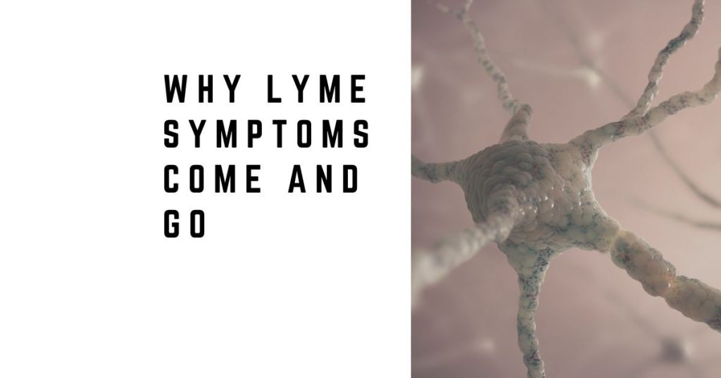 Why Lyme Symptoms Come and Go — And Why They Don’t Make Sense