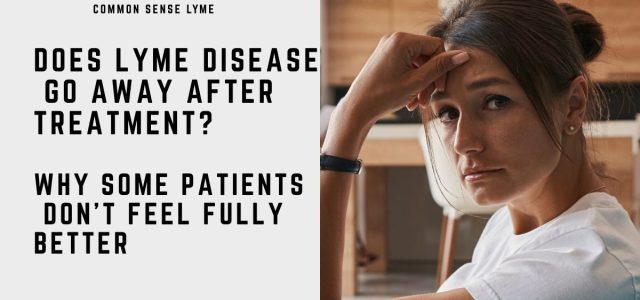 DOES LYME DISEASE GO AWAY AFTER TREATMENT