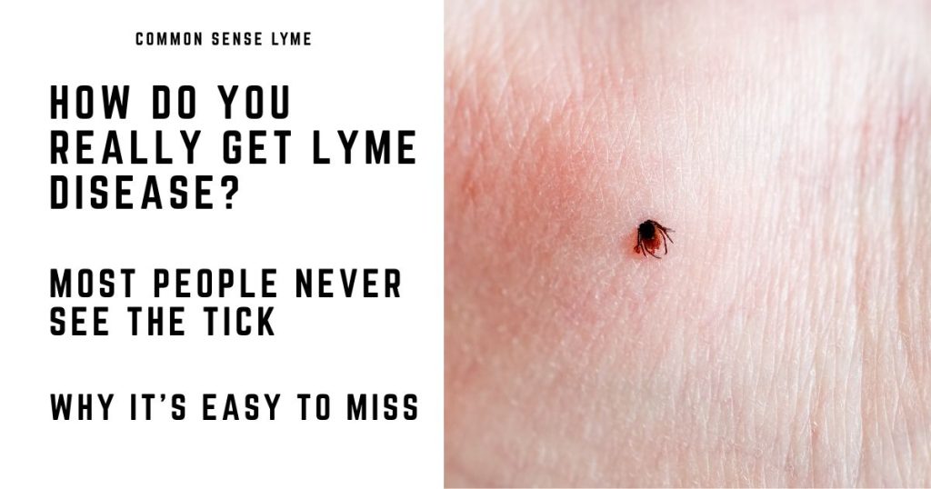 OW DO YOU REALLY GET LYME DISEASE