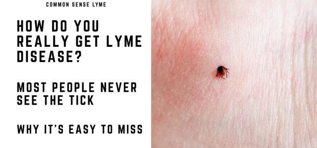 OW DO YOU REALLY GET LYME DISEASE