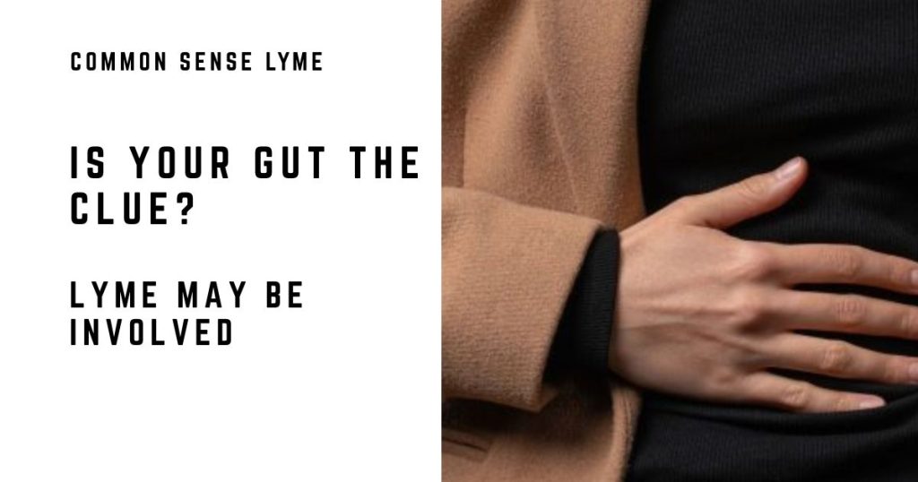 IS YOUR GUT THE CLUE