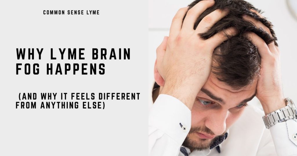 WHY LYME BRAIN FOG HAPPENS