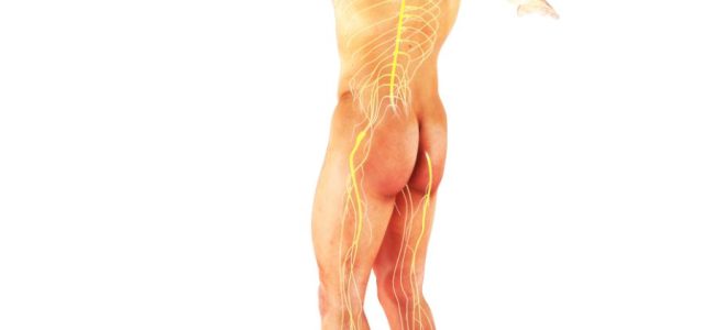 Why Lyme Disease Causes Joint Instability and Balance Problems