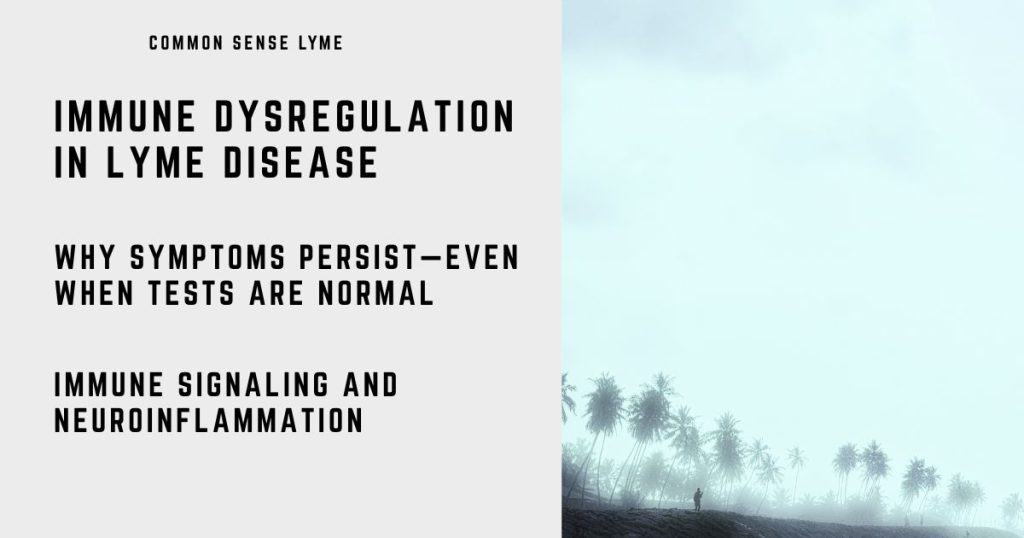 iMMUNE DYSREGULATION IN LYME DISEASE