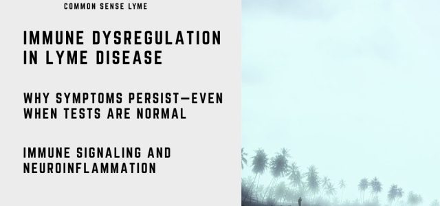 iMMUNE DYSREGULATION IN LYME DISEASE