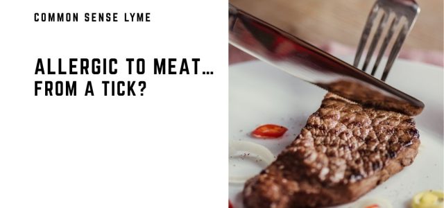 ALLERGIC TO MEAT… FROM A TICK