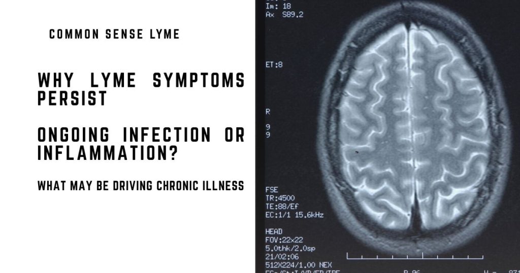 WHY LYME SYMPTOMS PERSIST