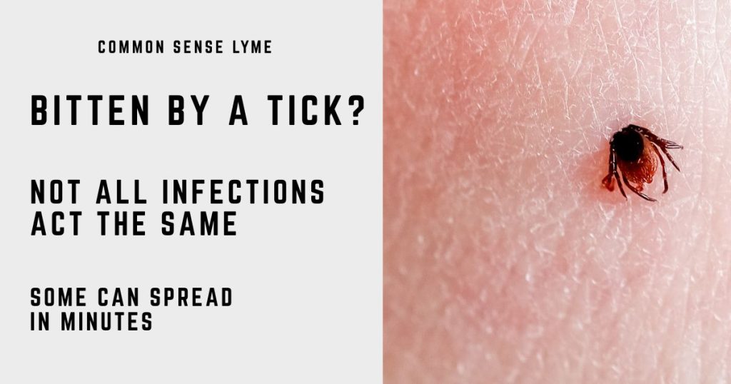 BITTEN BY A TICK (3)