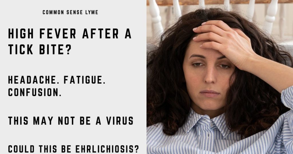 HIGH FEVER AFTER A TICK BITE