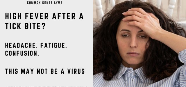 HIGH FEVER AFTER A TICK BITE