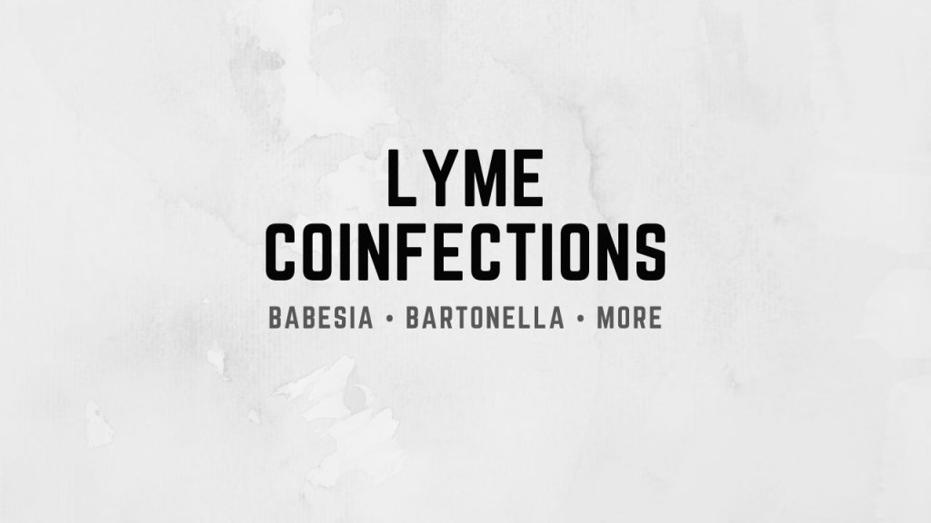 Lyme Coinfections Babesia • Bartonella • More