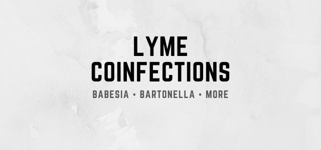 Lyme Coinfections Babesia • Bartonella • More