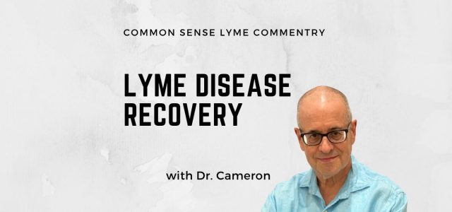 Lyme Disease Recovery