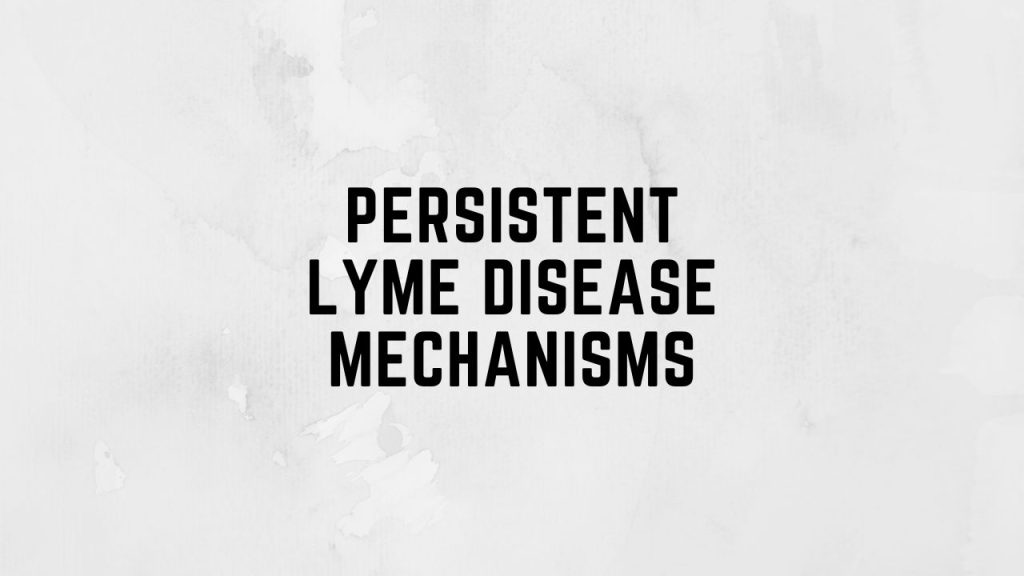 Persistent Lyme Disease Mechanisms
