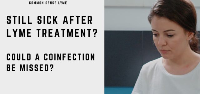 Lyme disease coinfections
