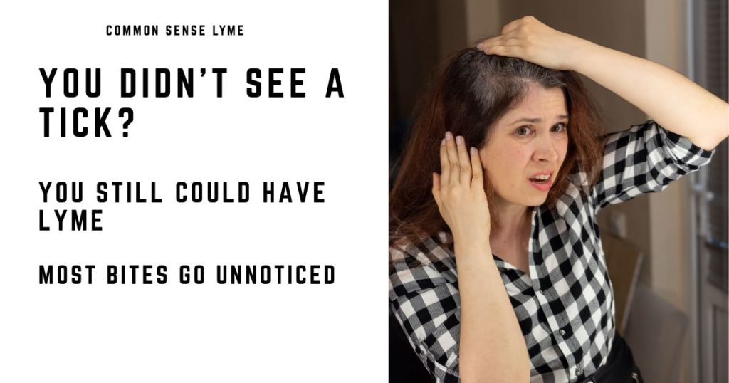 YOU DIDN’T SEE A TICK