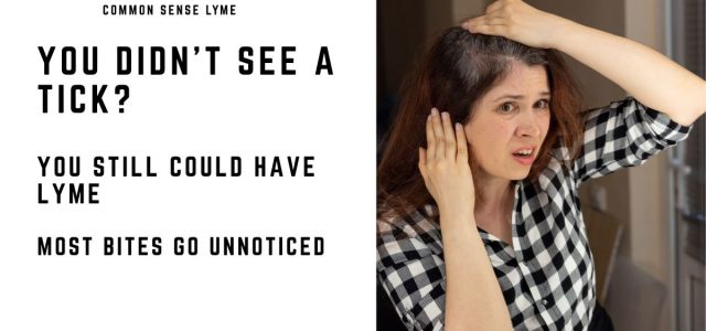 YOU DIDN’T SEE A TICK