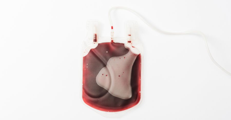 babesia blood supply